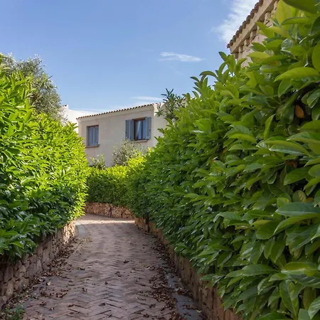 Guesthost - Lovely Flat With Terrace And Solarium Porto San Paolo